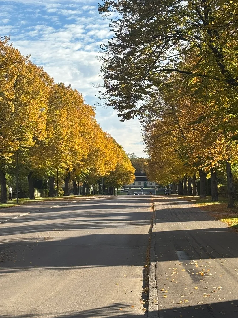 Villa, Ekängsgatan 29, Djurgården, Eskilstuna