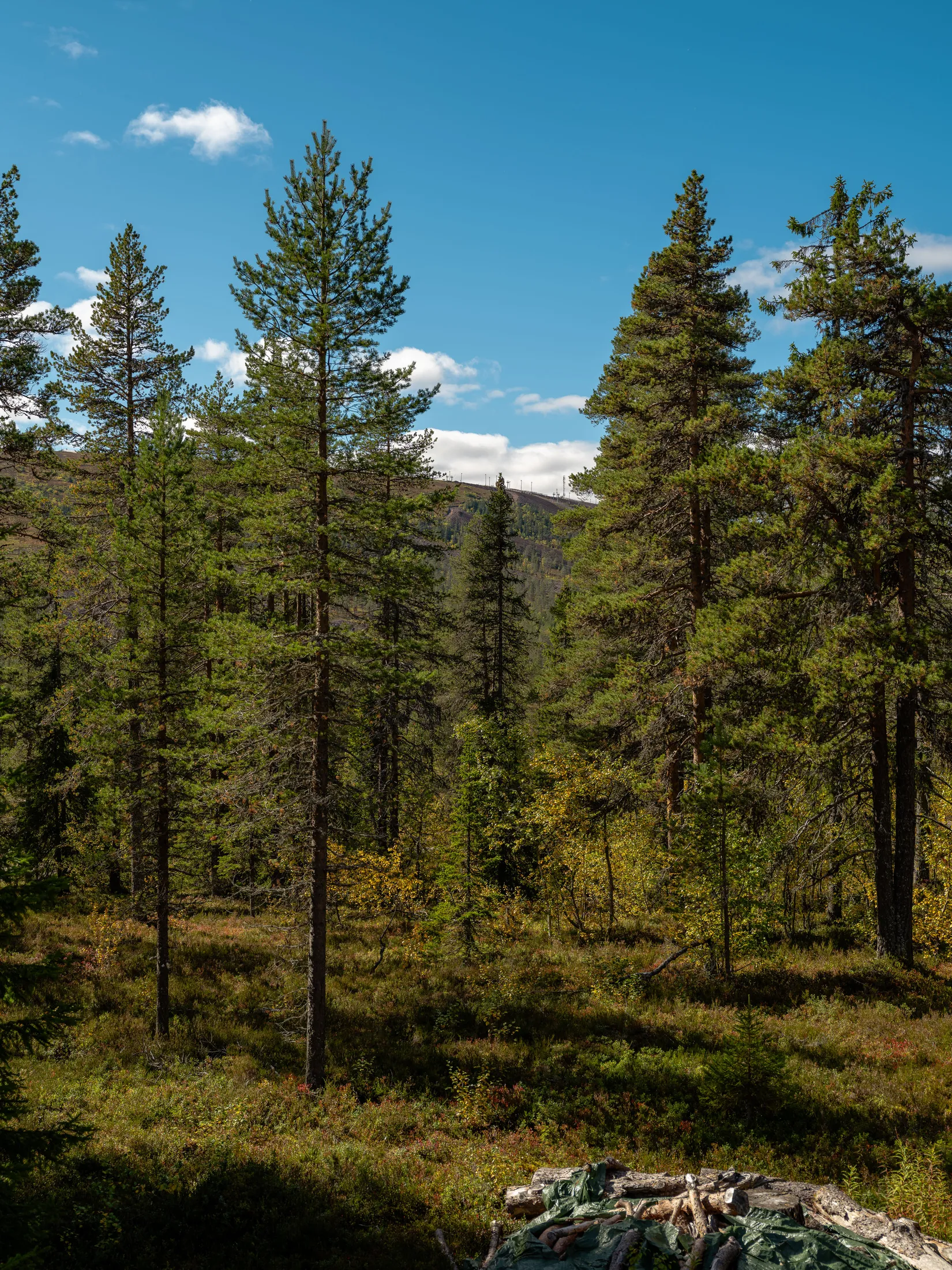 Fritidshus, Fjösstigen 12, Tandådalen, Malung-Sälen