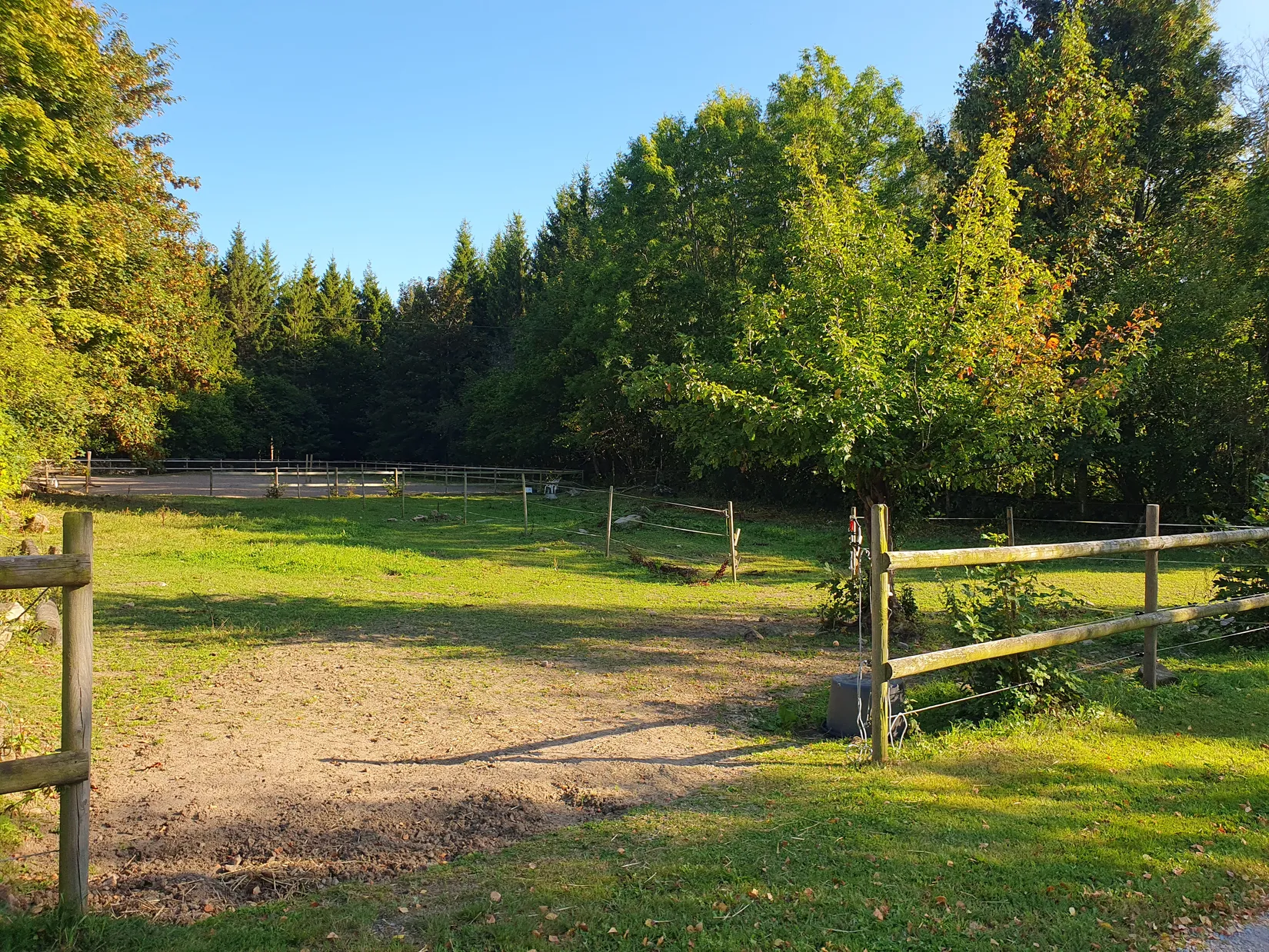 Gård/Skog, Kungsleden 156, Stidsvig, Klippan