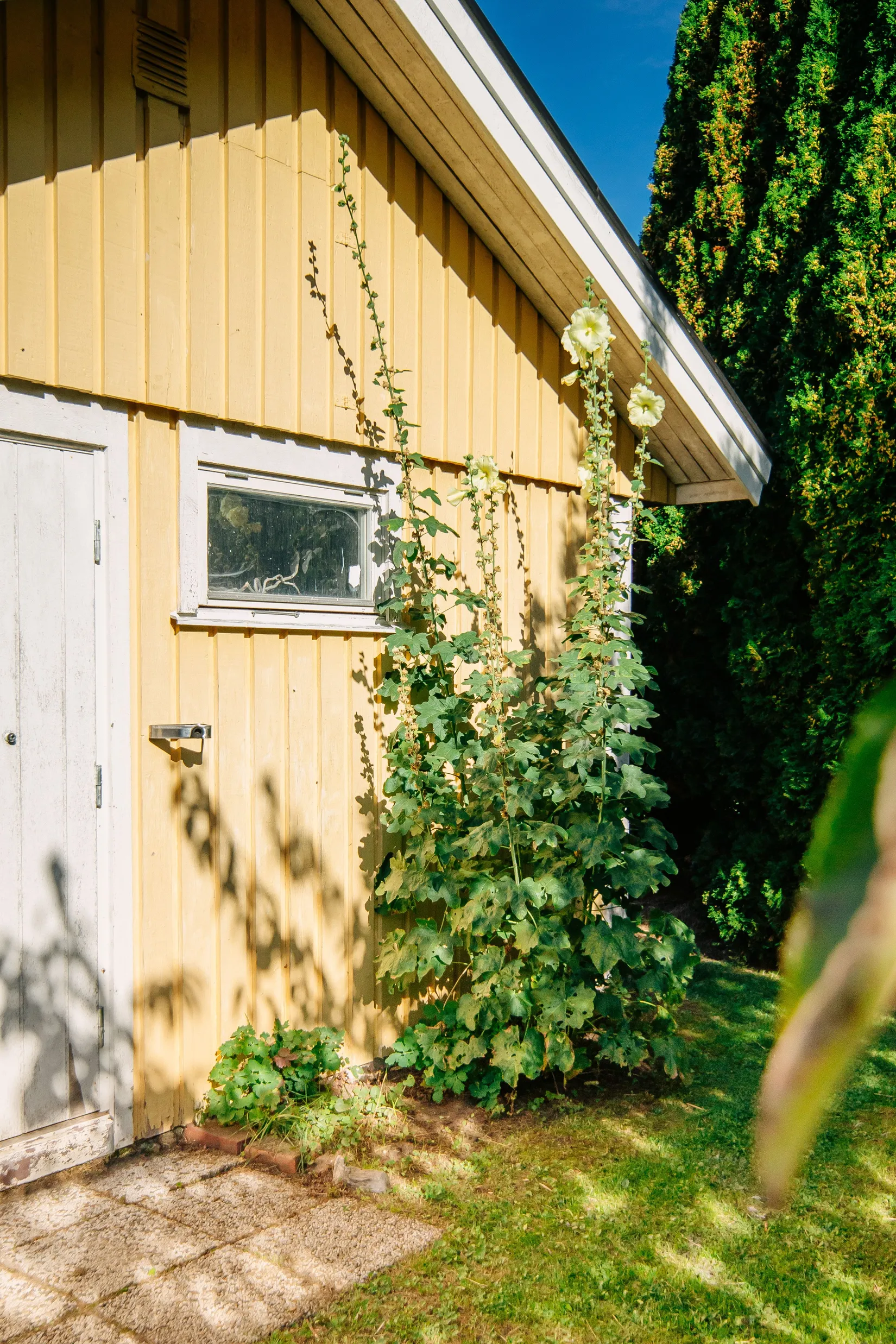 Villa, Dalvägen 1, Mariestad