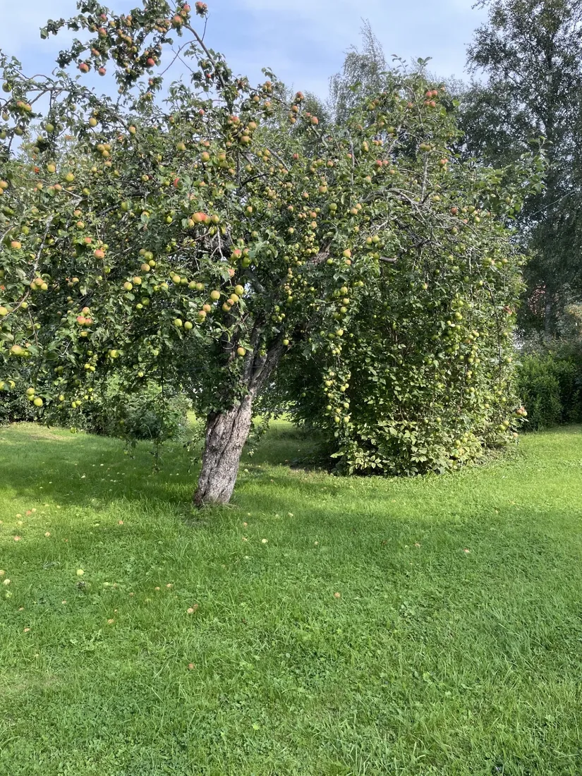 Villa, Stackvägen 3, Kramfors