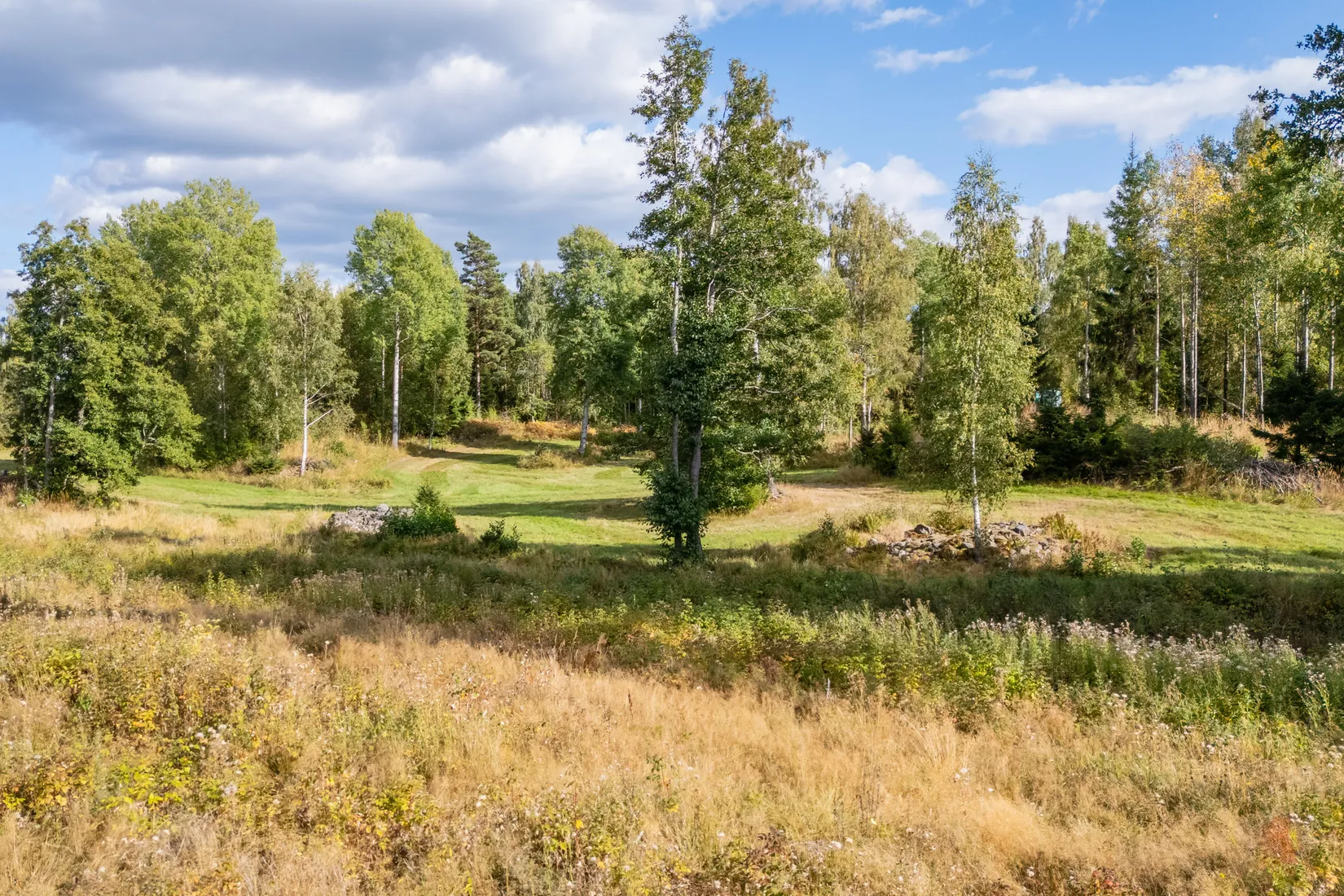 Gård/Skog, Sörskatevägen 152, Hällestad, Finspång