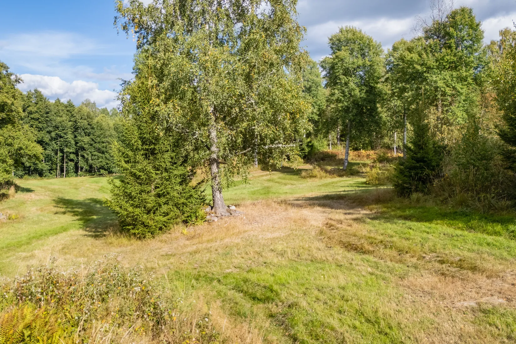 Gård/Skog, Sörskatevägen 152, Hällestad, Finspång