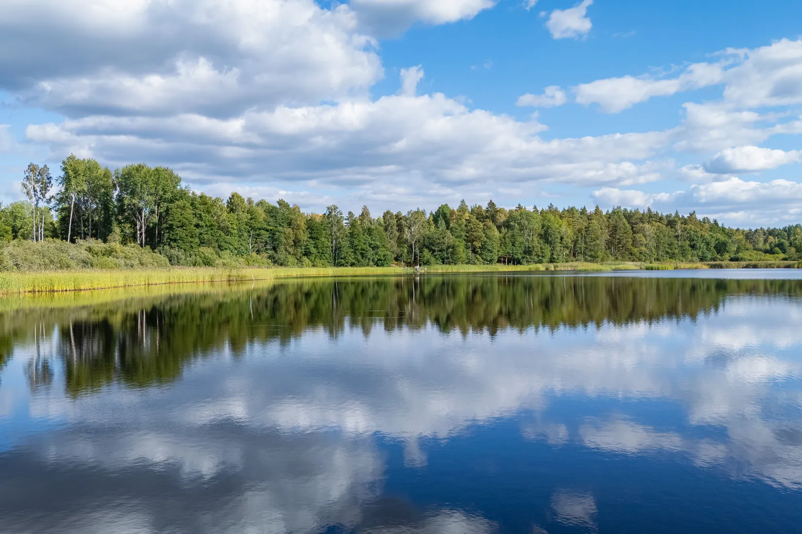 Gård/Skog, Sörskatevägen 152, Hällestad, Finspång