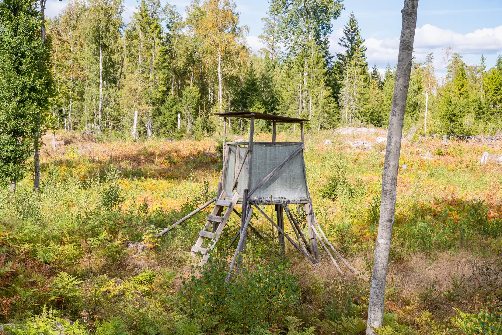 Gård/Skog, Sörskatevägen 152, Hällestad, Finspång