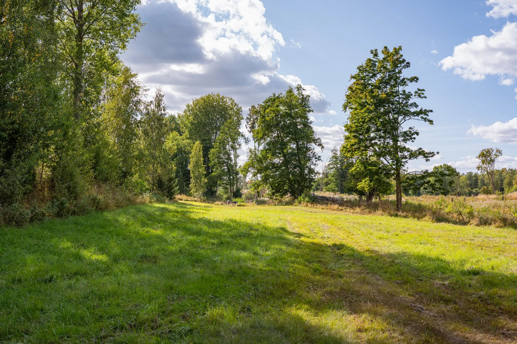Gård/Skog, Sörskatevägen 152, Hällestad, Finspång