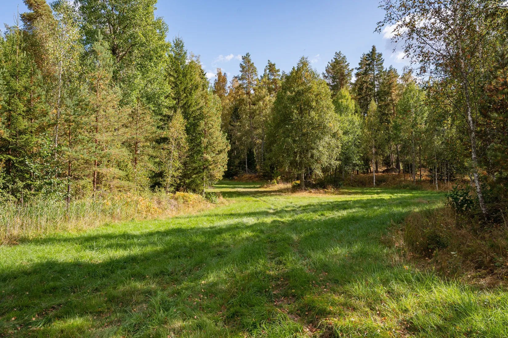 Gård/Skog, Sörskatevägen 152, Hällestad, Finspång