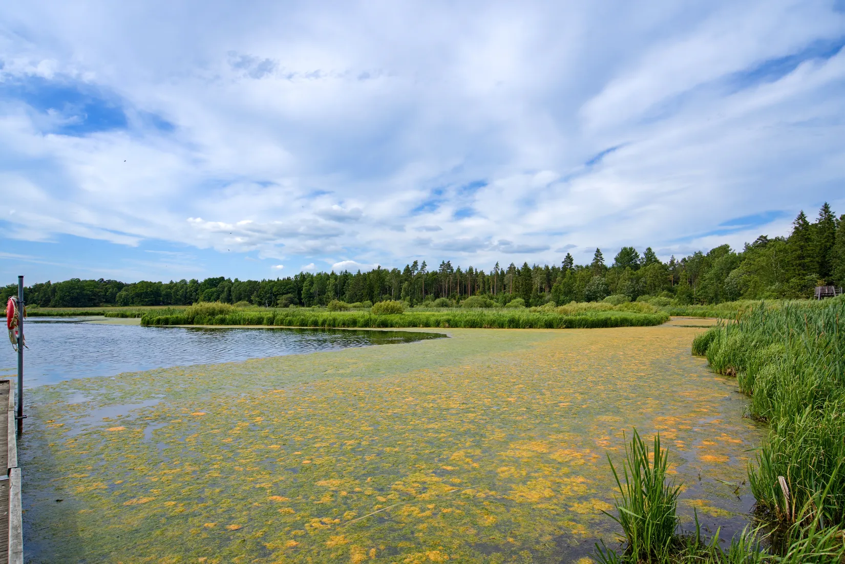 Villa, Mullvadsvägen 46, Ytternäs och Vreta, Uppsala