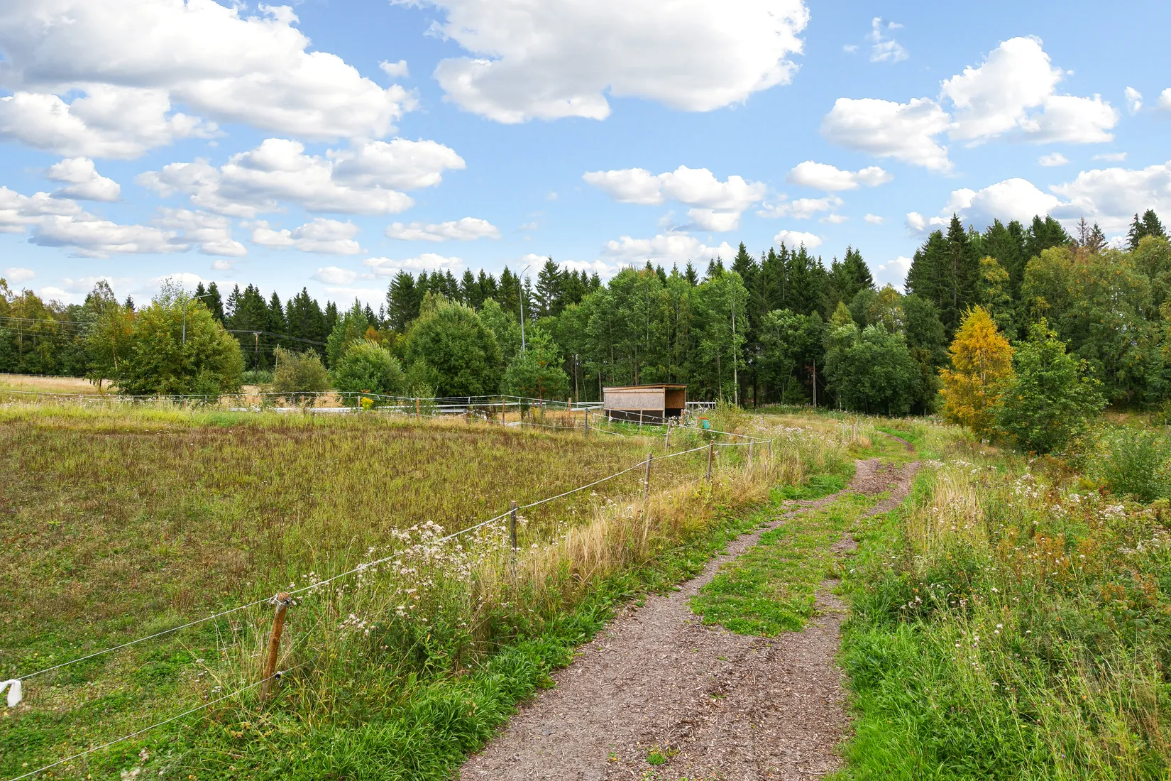 Gård/Skog, Västerbo 72, Ockelbo