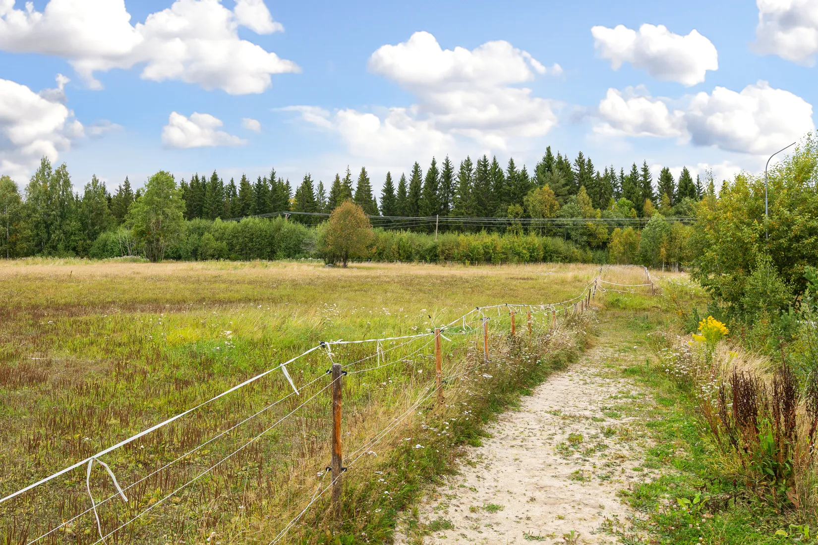 Gård/Skog, Västerbo 72, Ockelbo