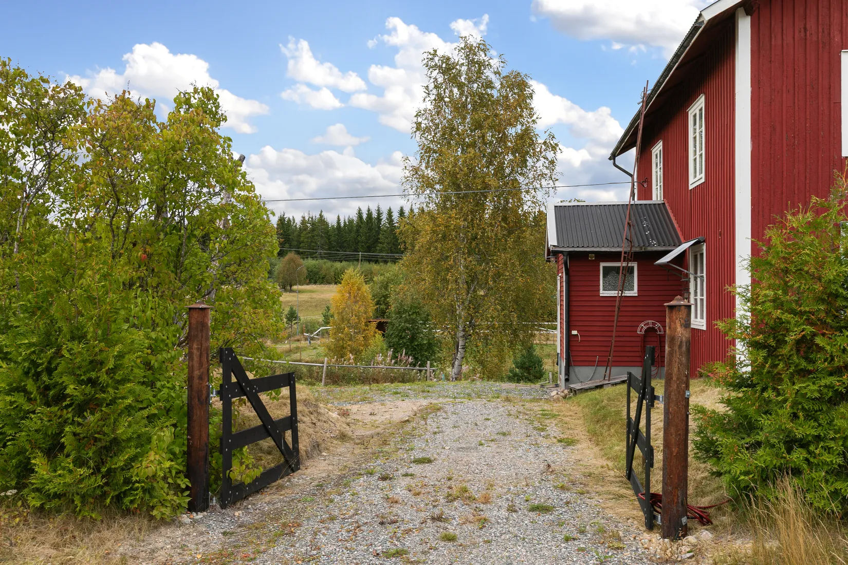 Gård/Skog, Västerbo 72, Ockelbo