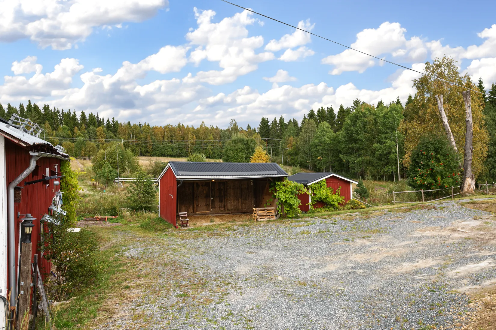 Gård/Skog, Västerbo 72, Ockelbo