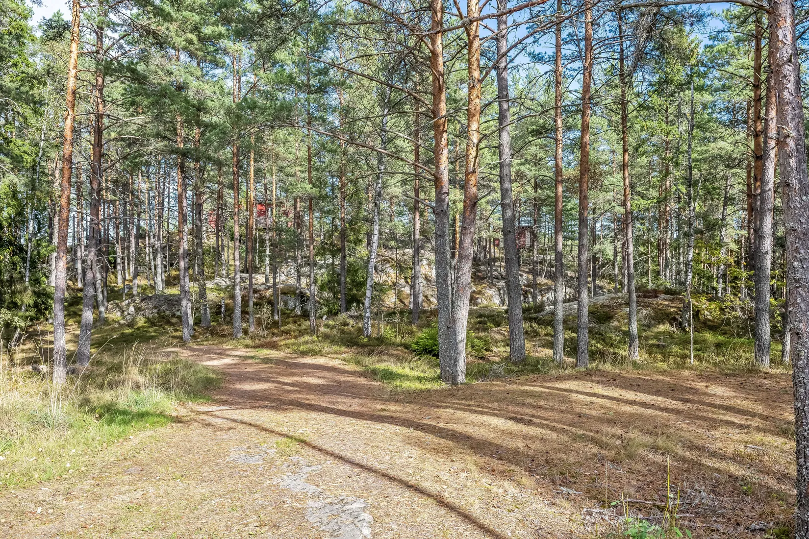 Villa, Hammantorp Skogstorp 3, Söderköping