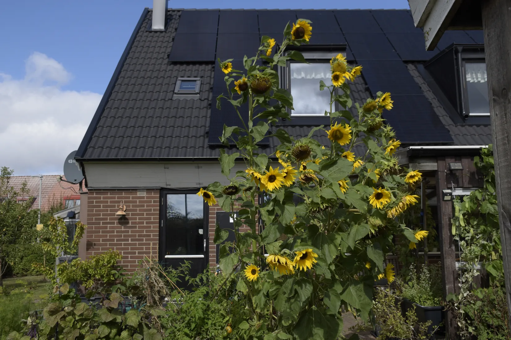 Villa, Lupinvägen 74, Häljarp, Landskrona