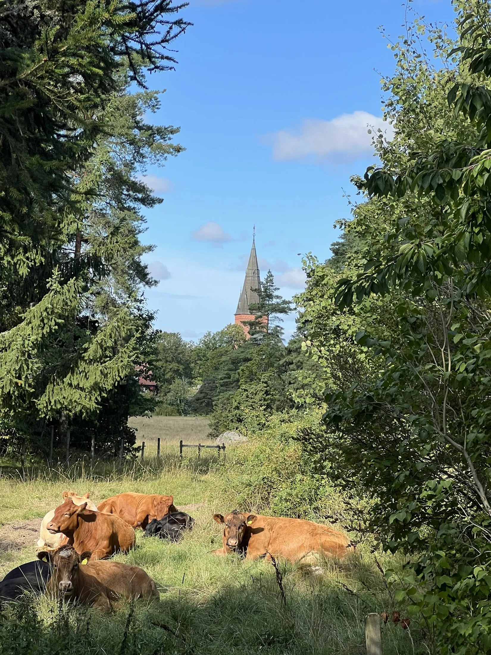Radhus, Danmarks skolväg 17, Danmark, Uppsala
