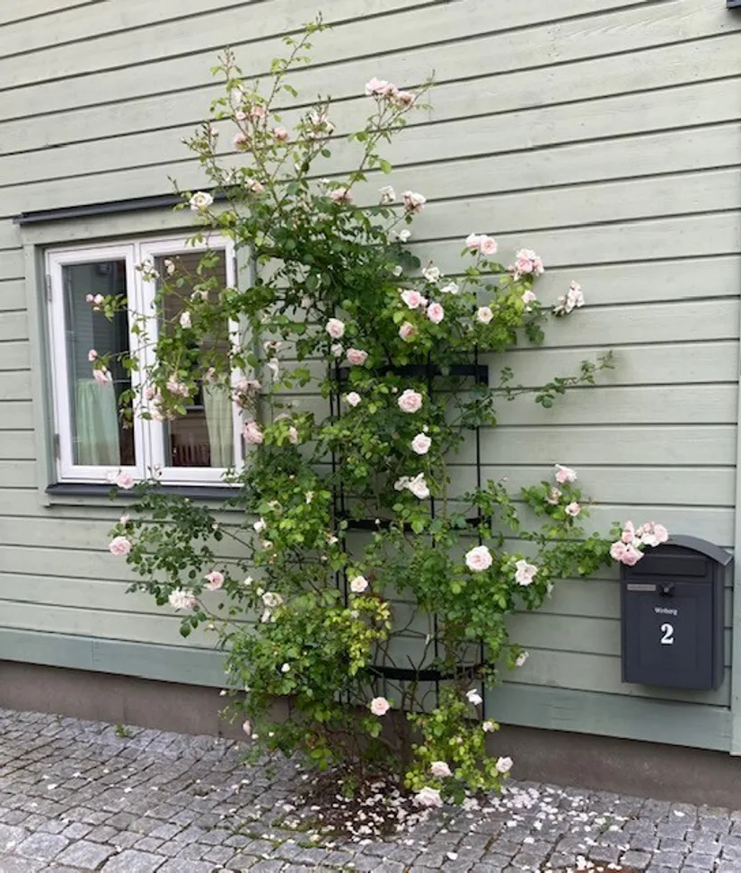 Villa, Lekgränd 2, Mariefred Stadsparken, Strängnäs