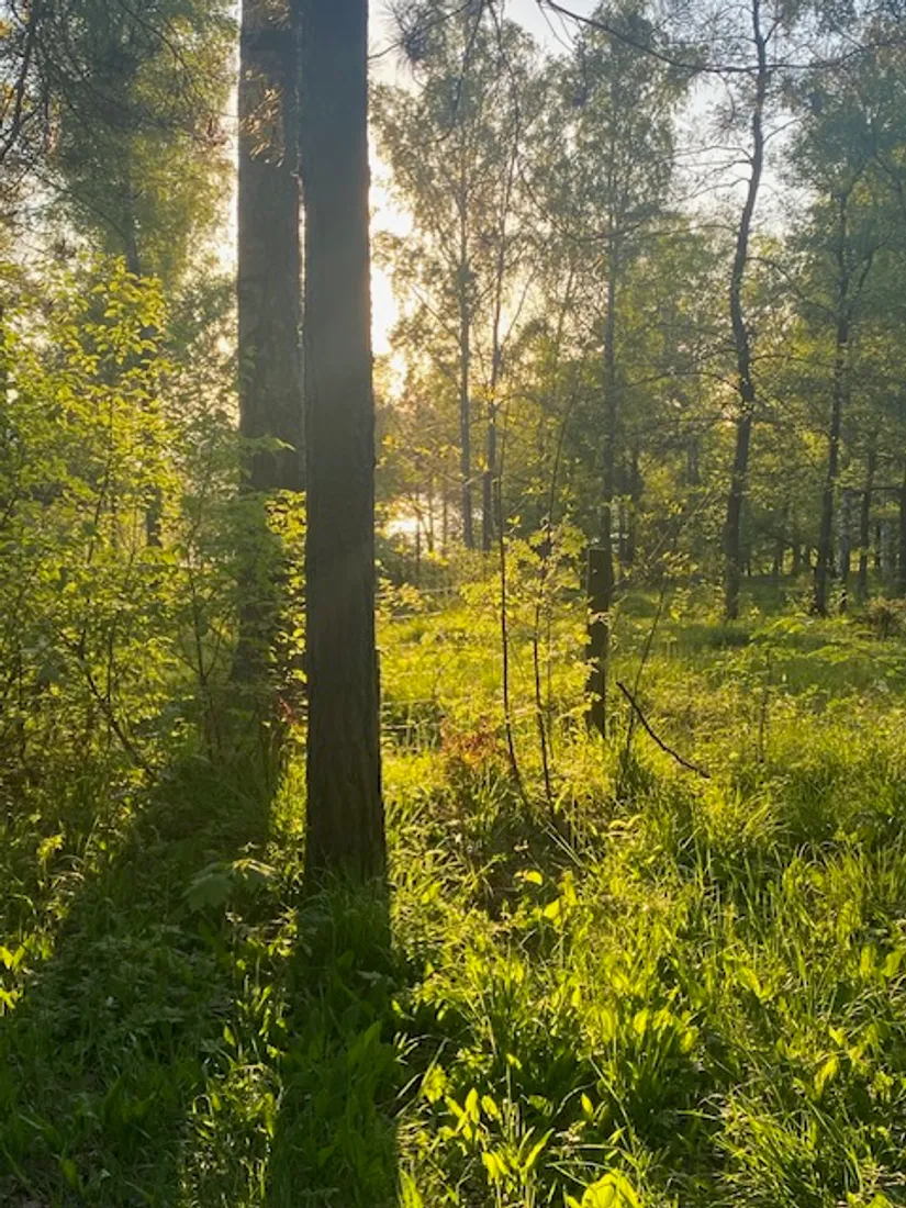 Villa, Basunvägen 53, Viksjö Hummelmora, Järfälla