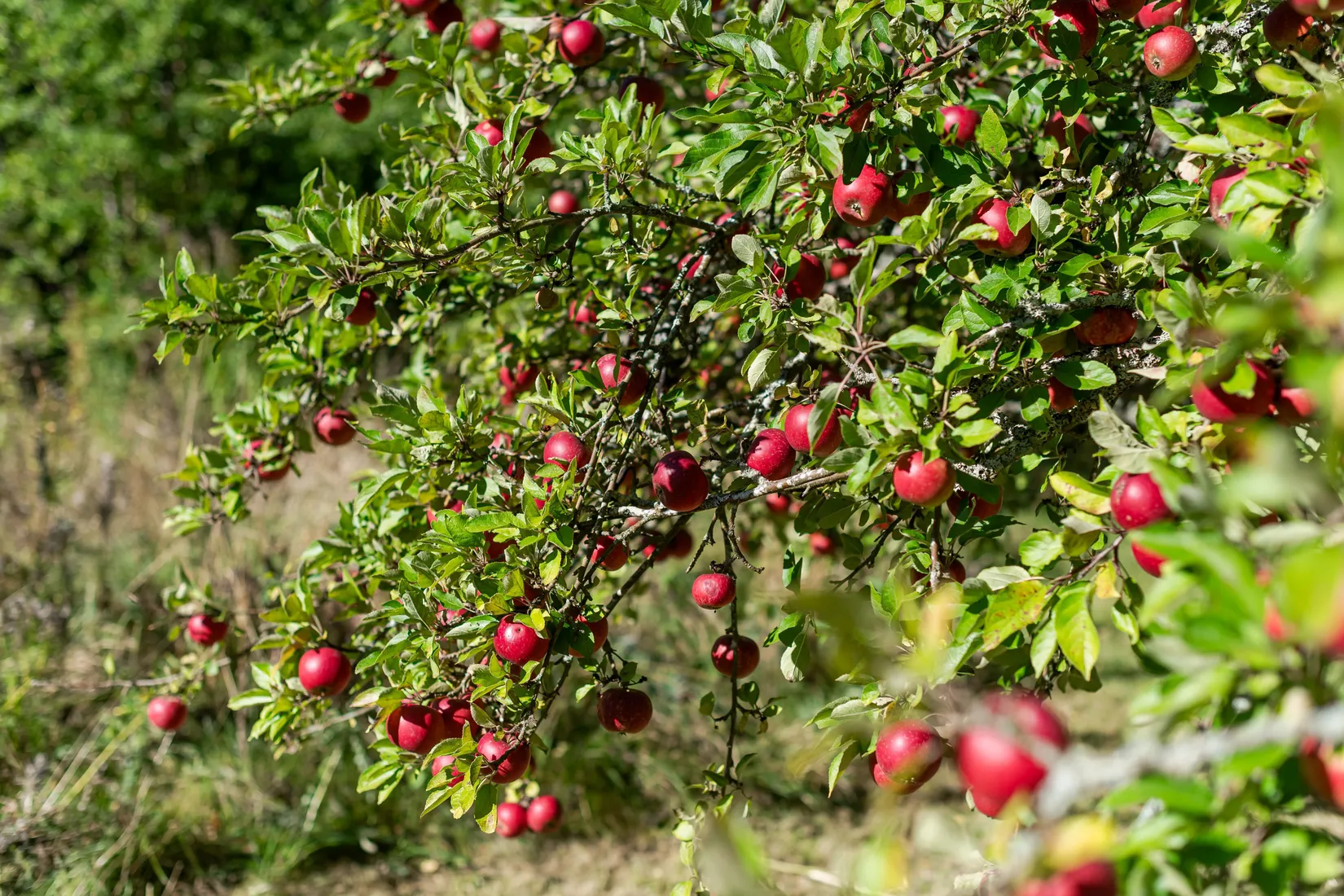 Fritidshus, Klockrike Ättorpa 835, Klockrike, Motala