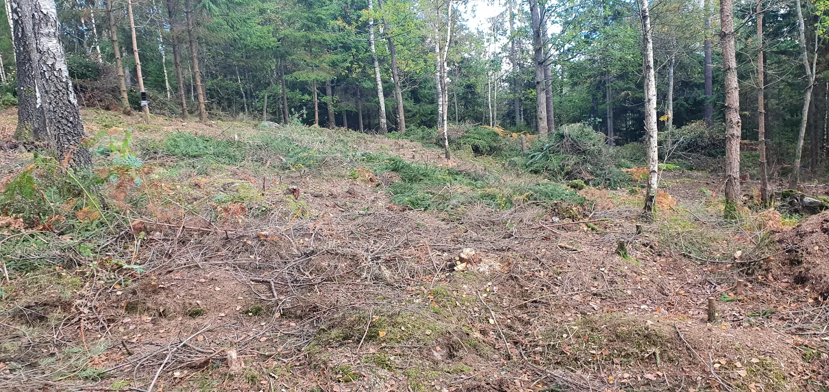 Tomt, Fridhemsvägen 9B, Härryda - Stora Bugärde, Härryda