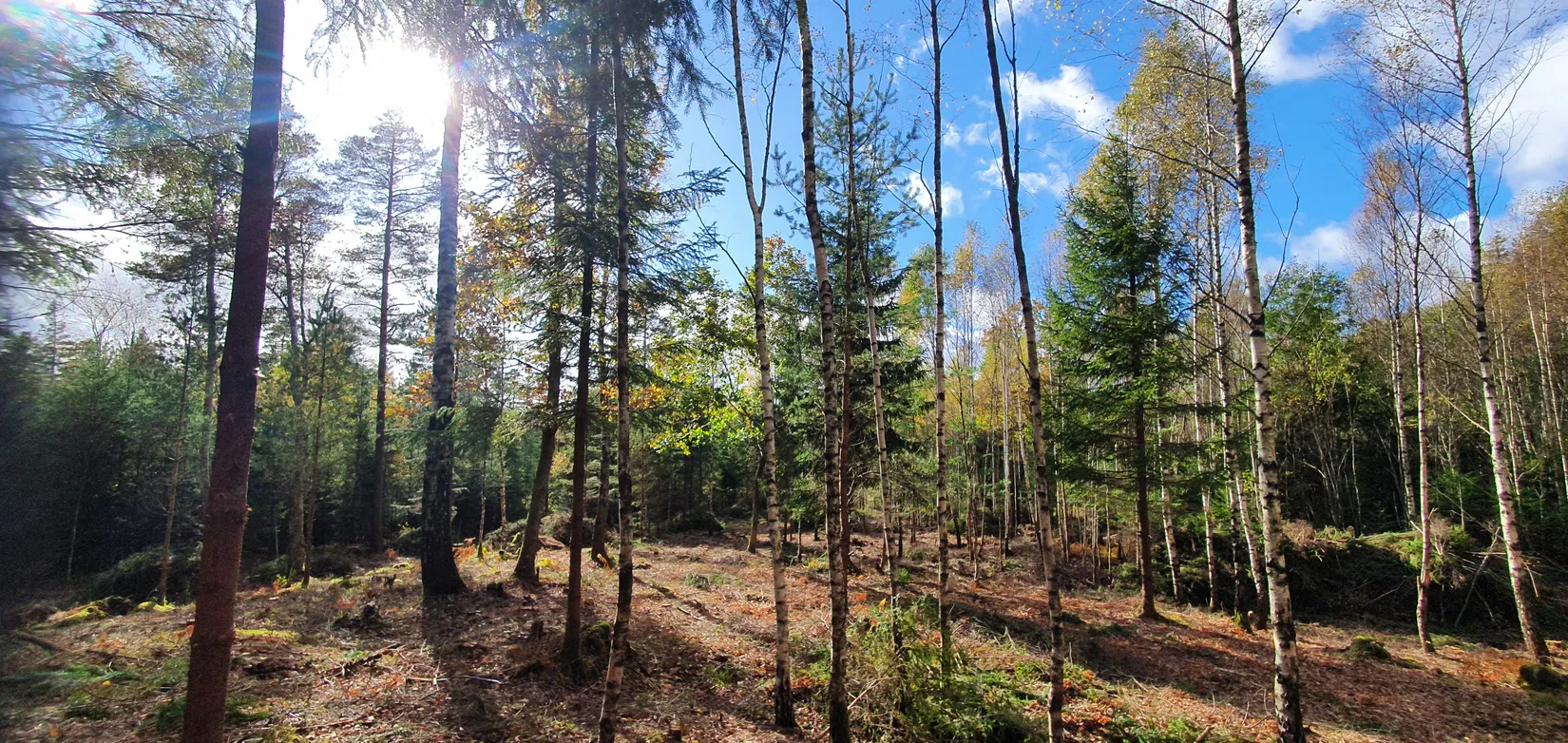 Tomt, Fridhemsvägen 9B, Härryda - Stora Bugärde, Härryda