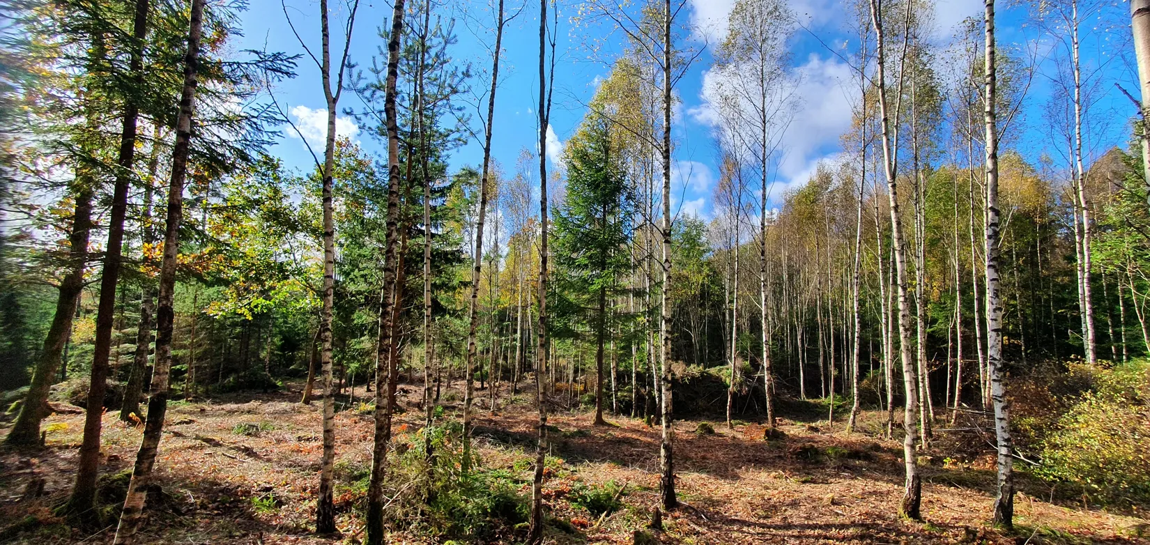 Tomt, Fridhemsvägen 9B, Härryda - Stora Bugärde, Härryda