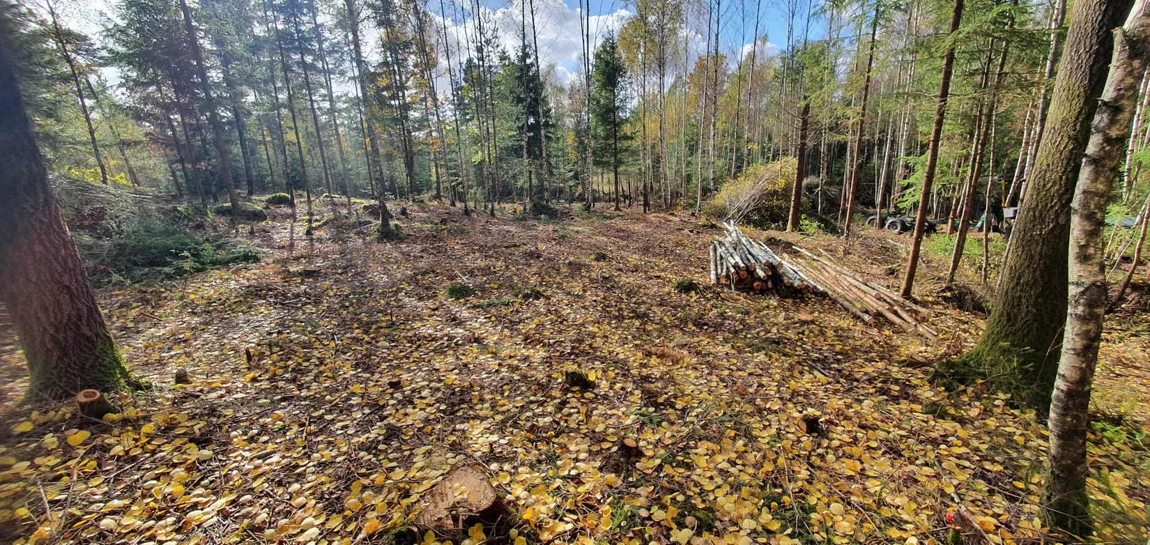Tomt, Fridhemsvägen 9B, Härryda - Stora Bugärde, Härryda