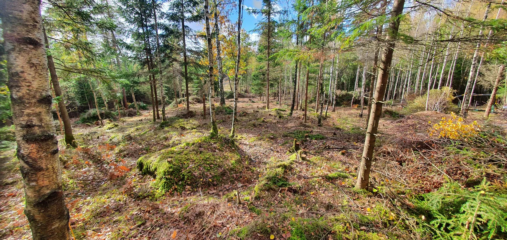 Tomt, Fridhemsvägen 9B, Härryda - Stora Bugärde, Härryda