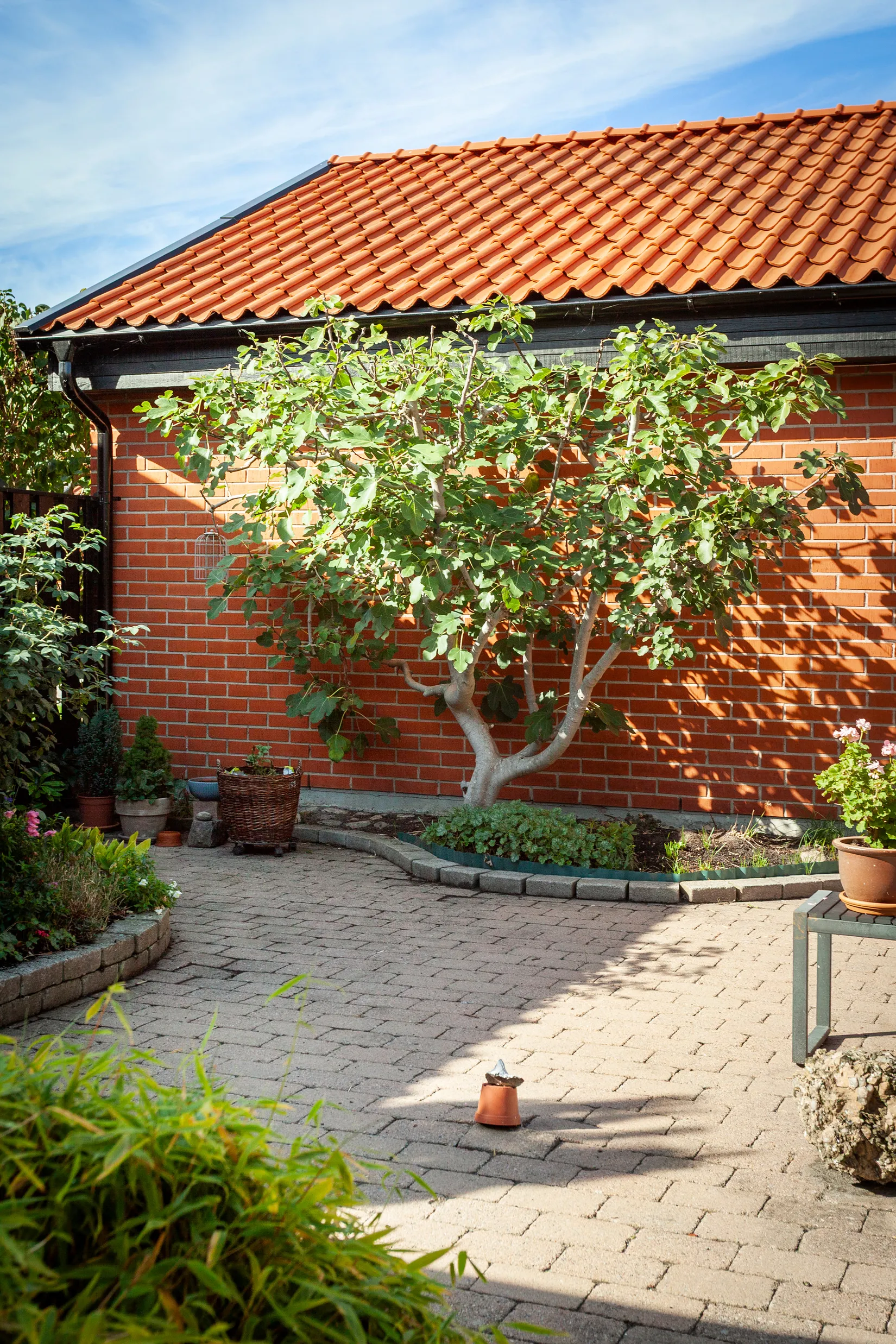 Villa, Matrosgången 15, Skanörsgården, Vellinge
