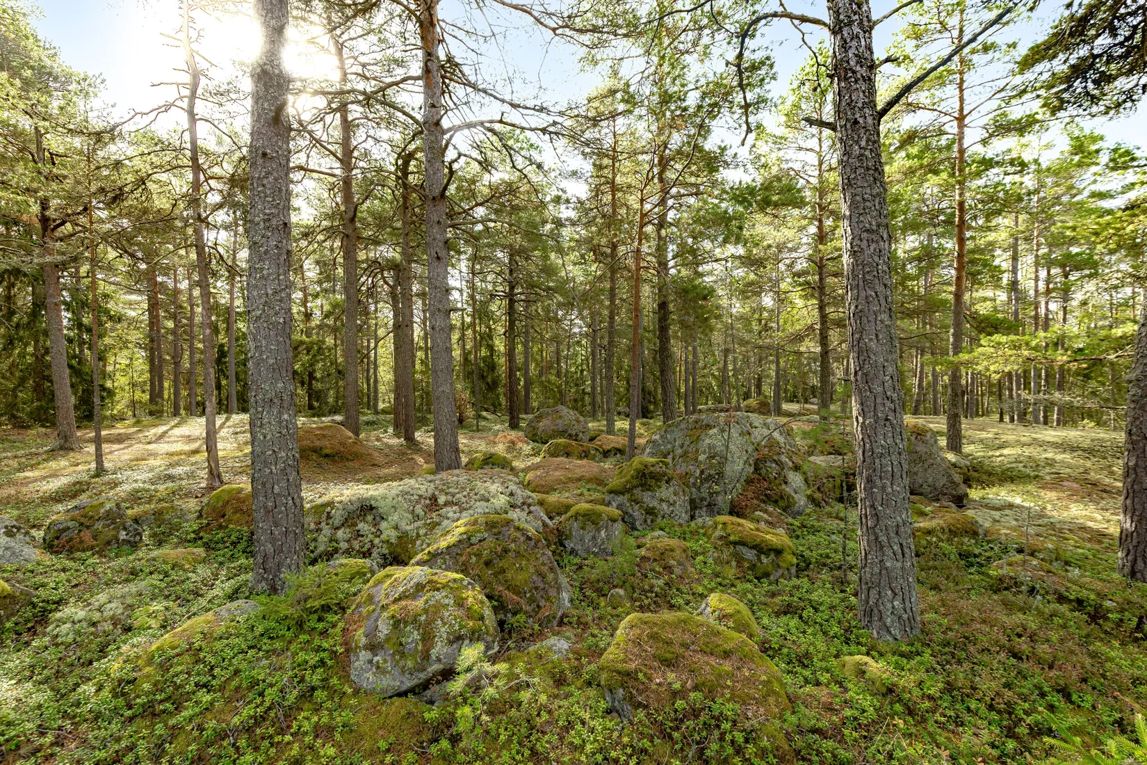 Fritidshus, Kolbottenstigen 10, Västerås