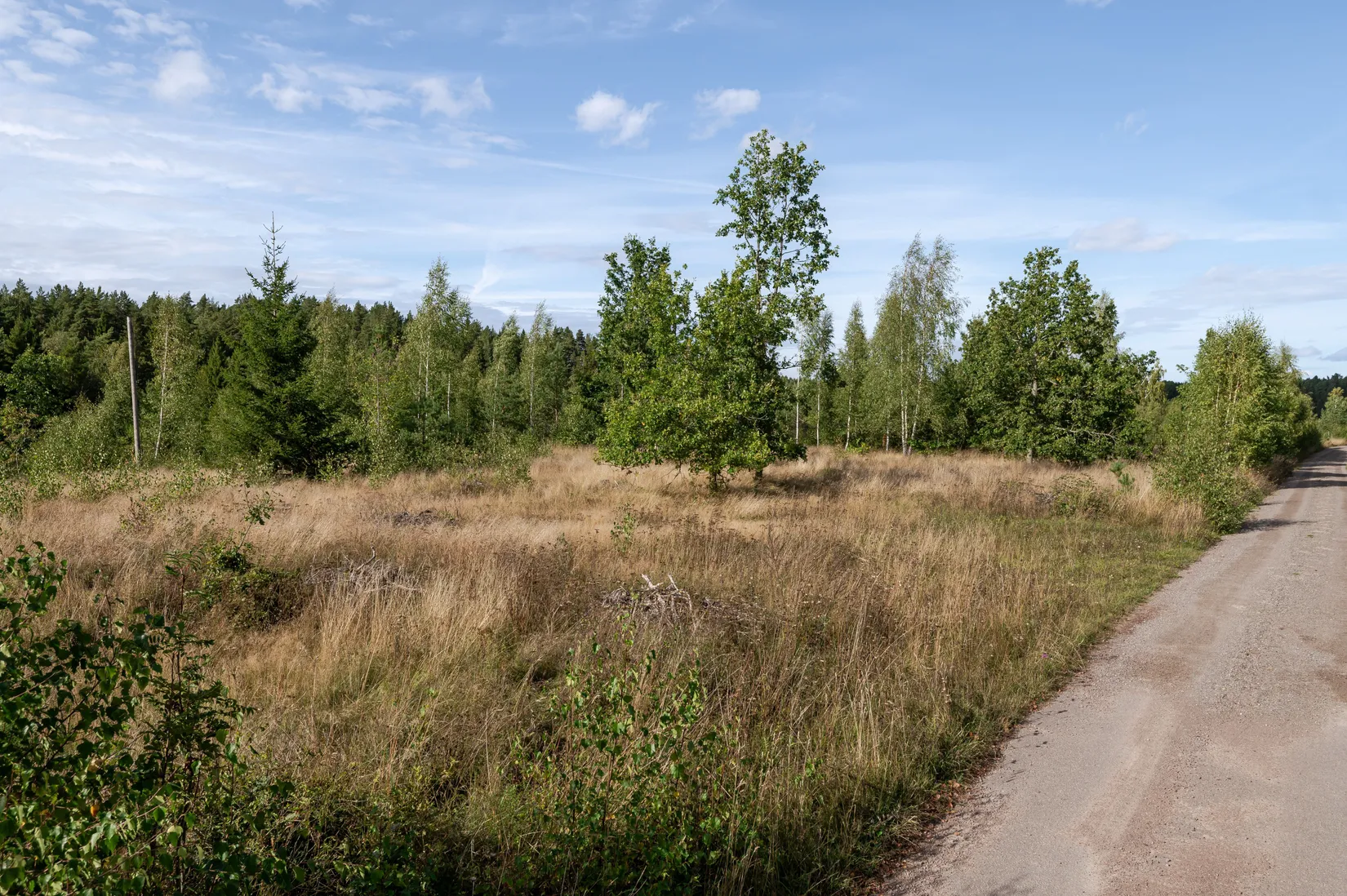 Tomt, MJÖLBY SJÖGARP 2:4, Sjögarp, Mjölby