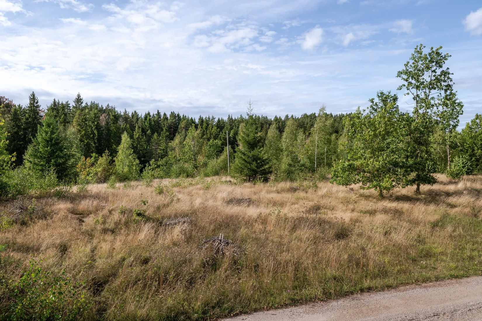 Tomt, MJÖLBY SJÖGARP 2:4, Sjögarp, Mjölby