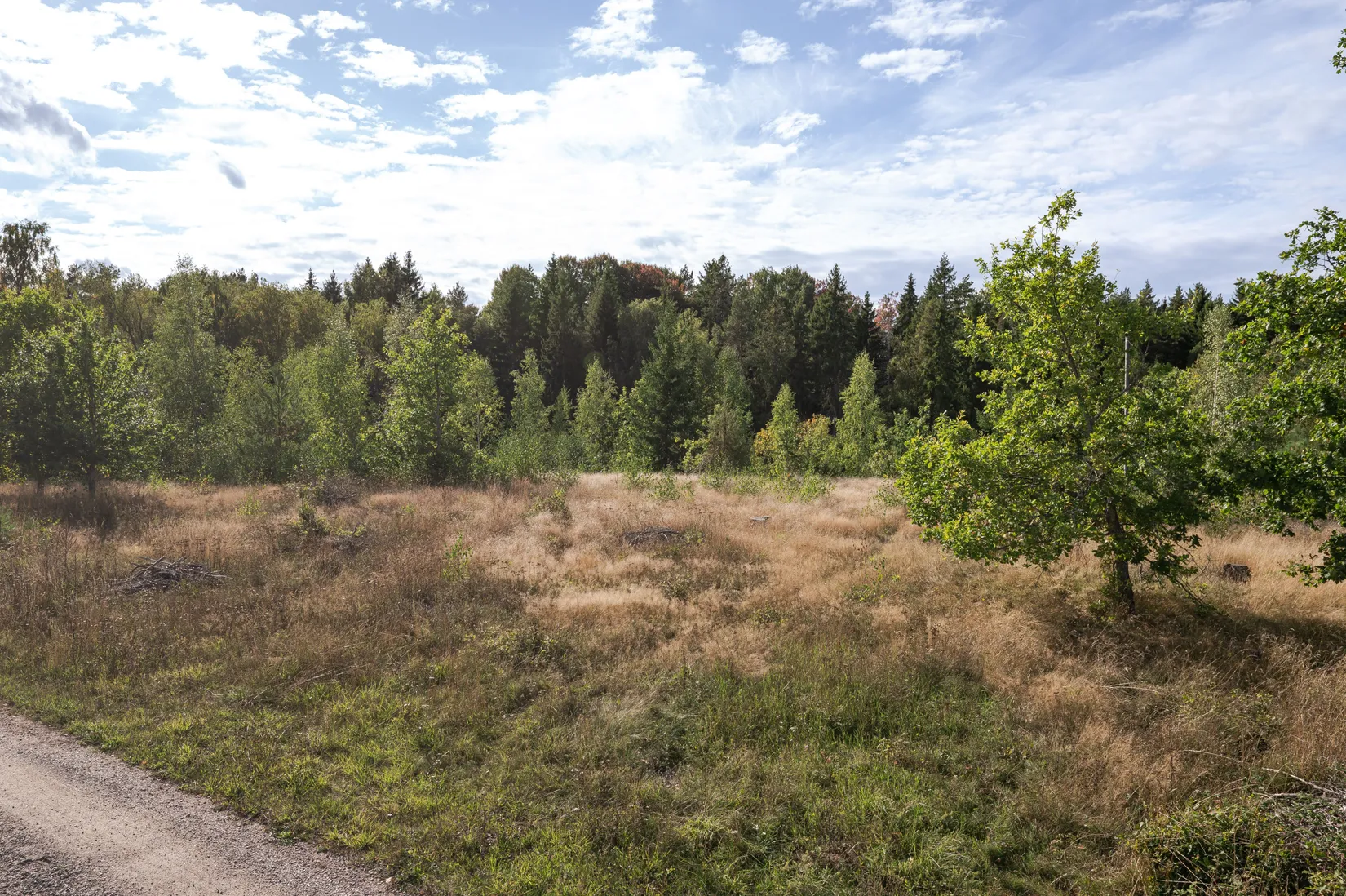Tomt, MJÖLBY SJÖGARP 2:4, Sjögarp, Mjölby