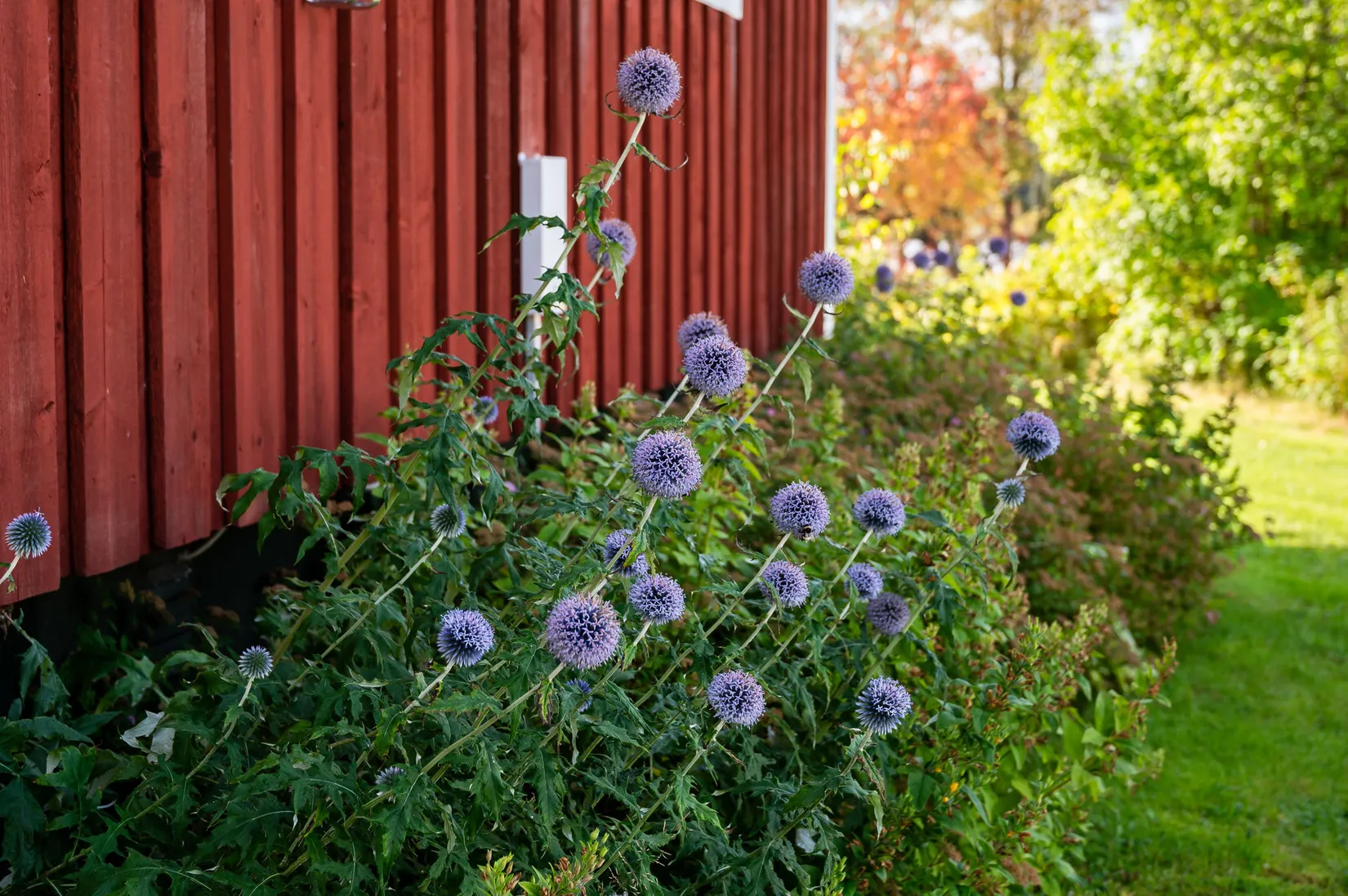 Villa, Handsjön 670, Berg