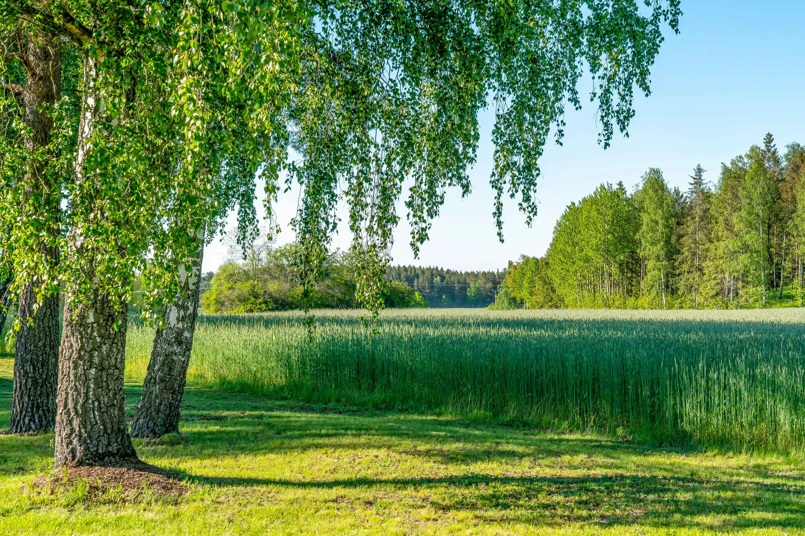 Villa, Skönberga Vita huset 1, Söderköping