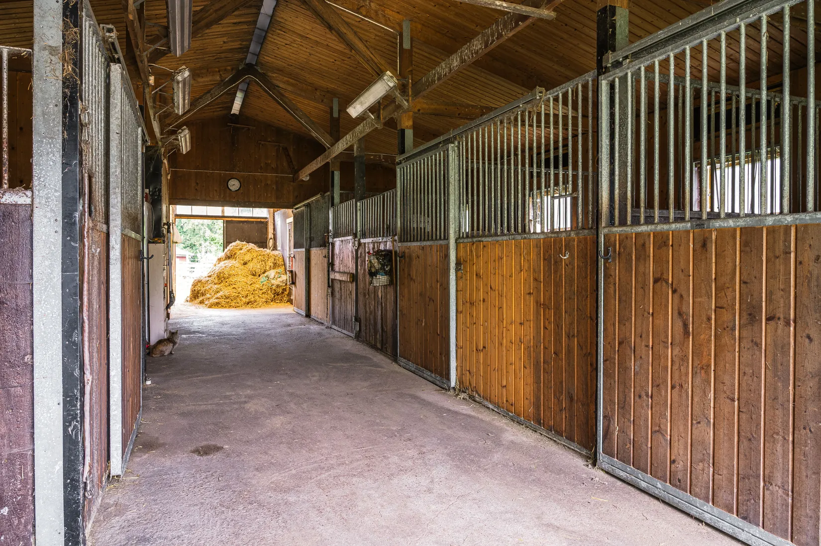 Gård/Skog, Storekullen 22, Ljungstorp, Skara