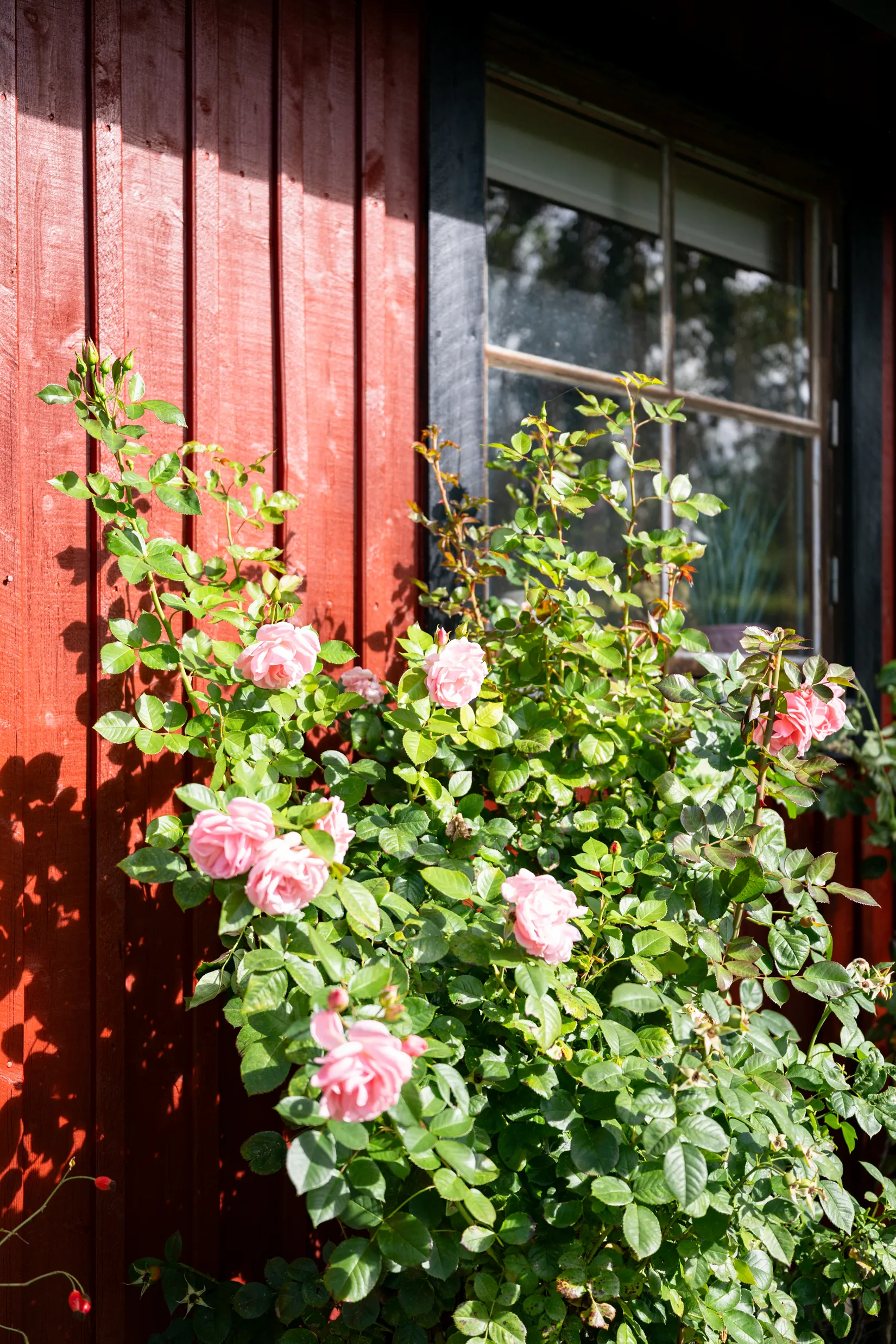 Villa, Rönnbärsvägen 1, Rörums Strand, Simrishamn