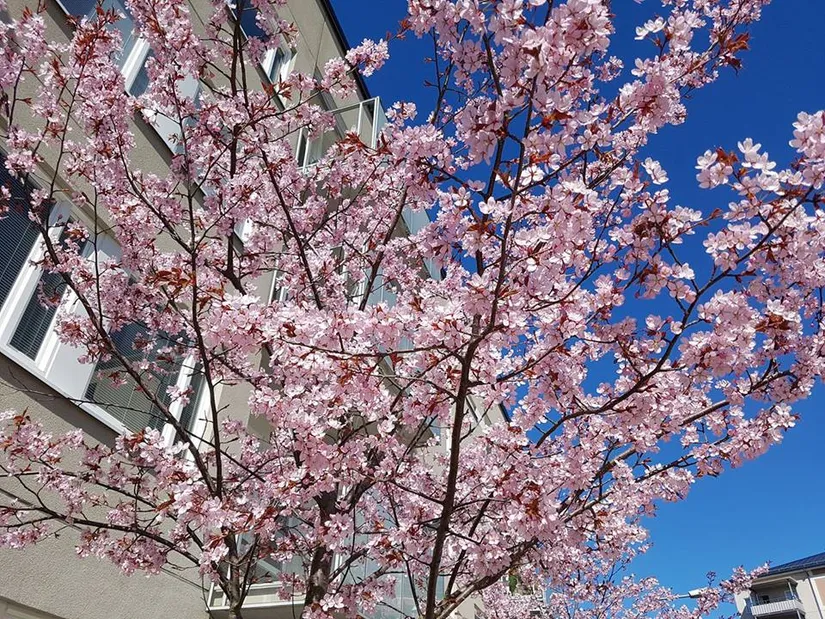 Bostadsrätt, Karlsövägen 3, Kärrtorp, Stockholm