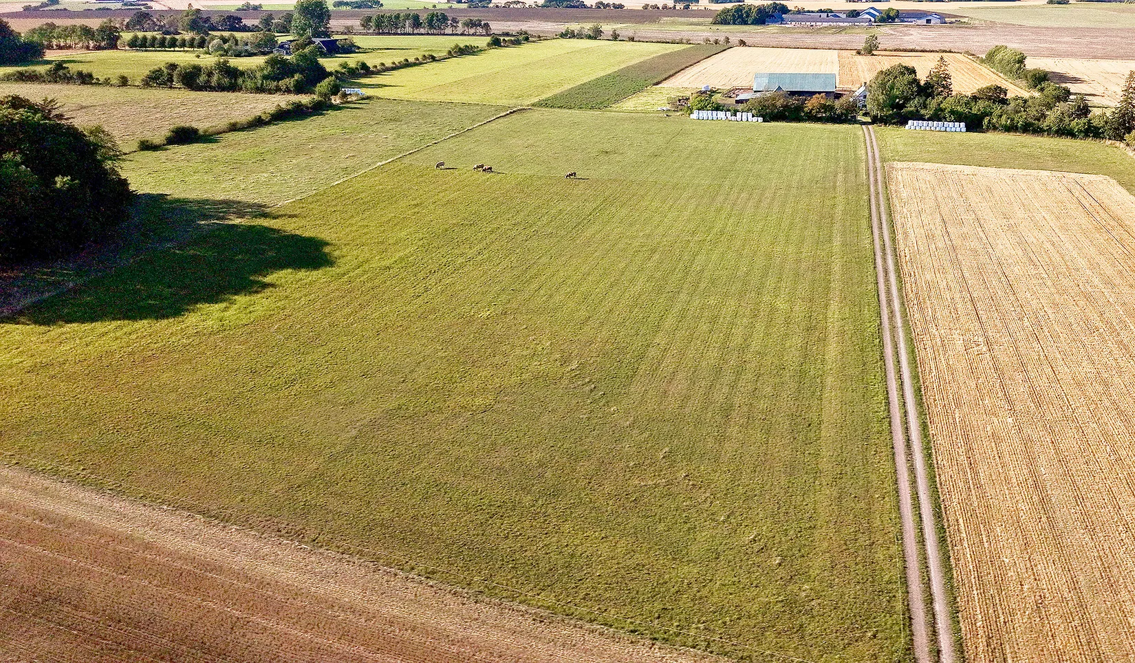 Gård/Skog, Starbyvägen 237, Ängelholm