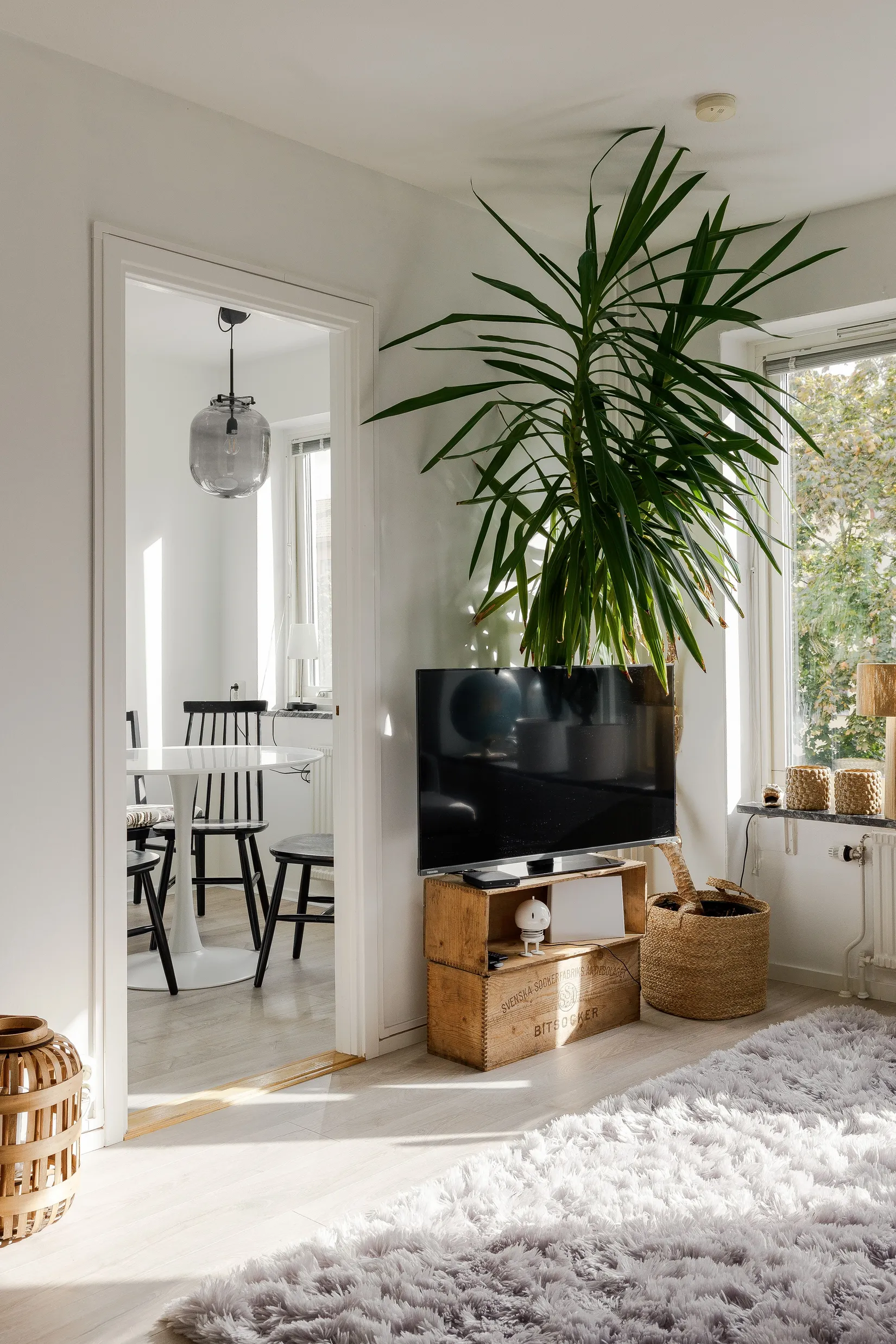 Bostadsrätt, Trädgårdsgatan 20, Söder, Växjö