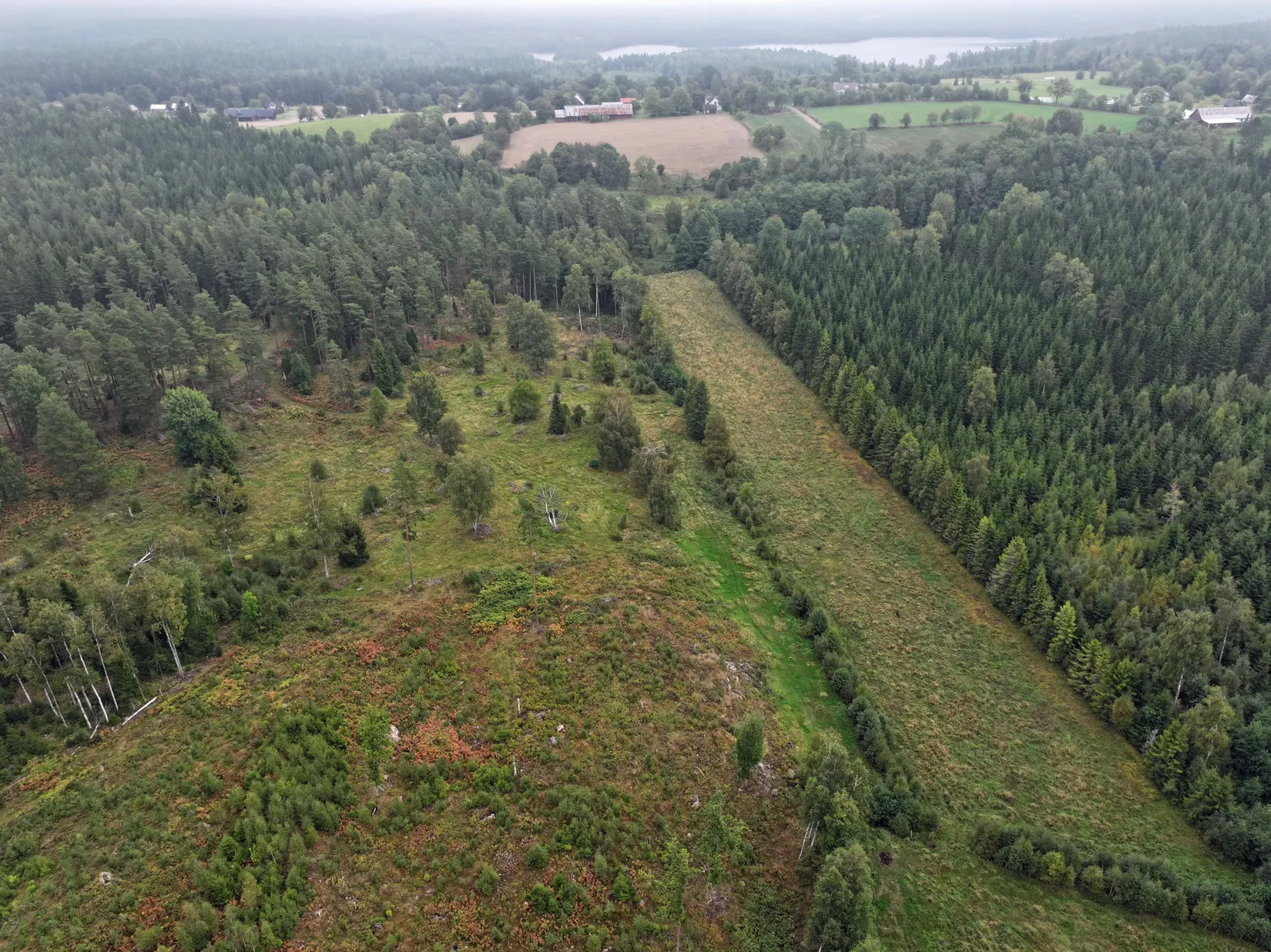 Gård/Skog, VETLANDA FRÖDERYDS-HULUBODA 1:16, 1:20 och 1:24, Vetlanda