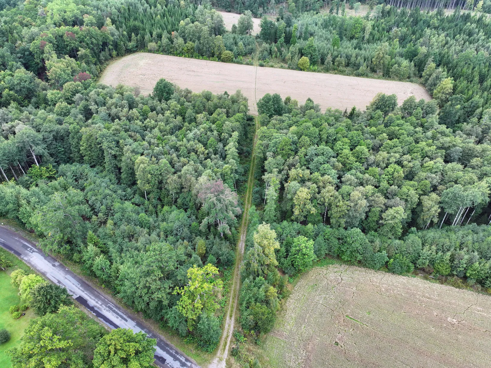 Gård/Skog, VETLANDA FRÖDERYDS-HULUBODA 1:16, 1:20 och 1:24, Vetlanda