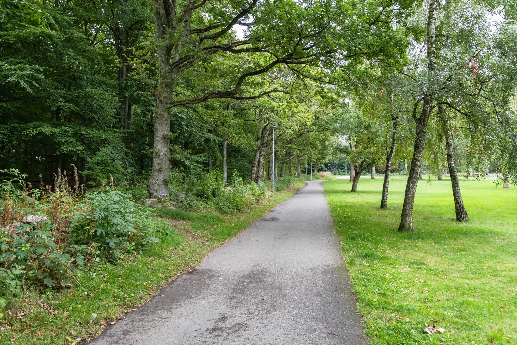 Bostadsrätt, Ormvråksvägen 27E, Falkagård, Falkenberg