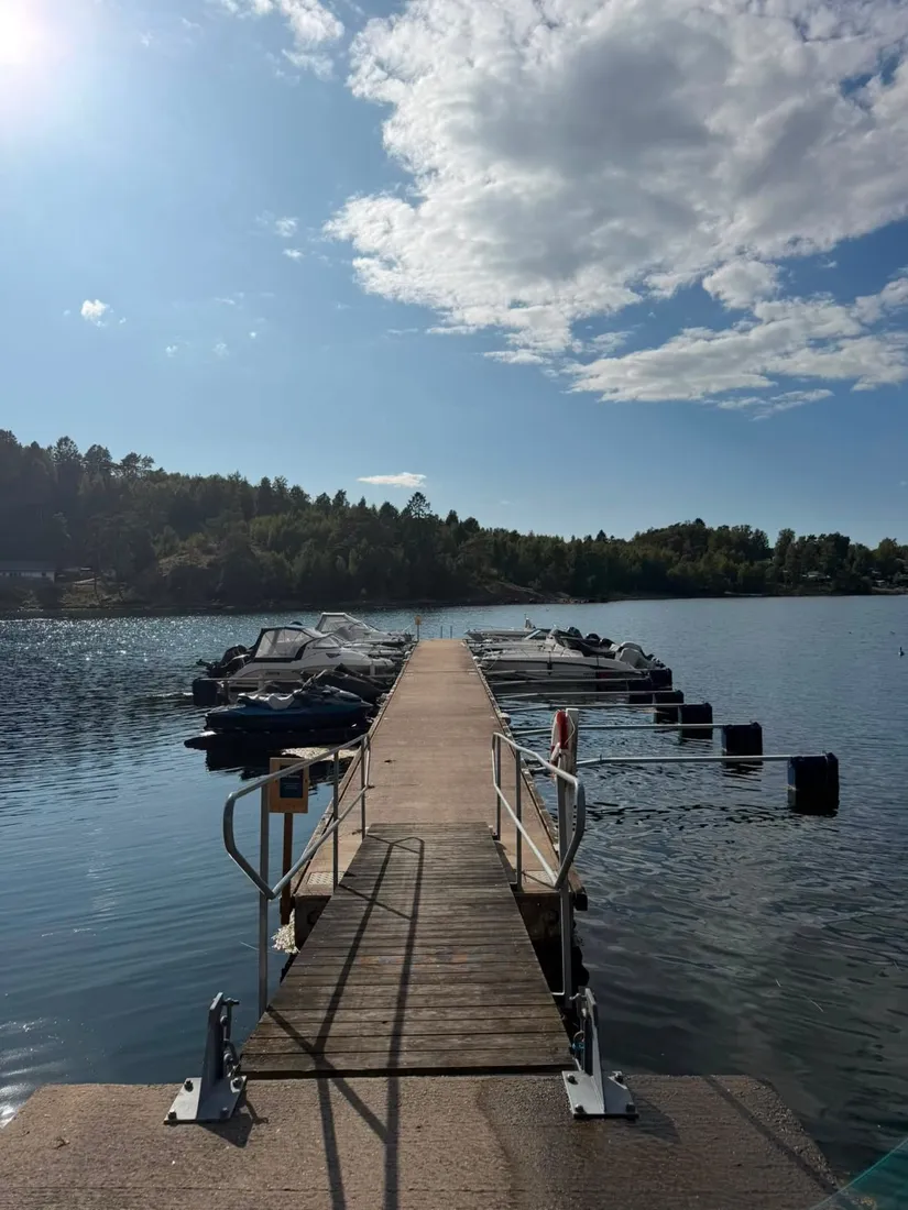 Övrigt, Almön 50, Myggenäs