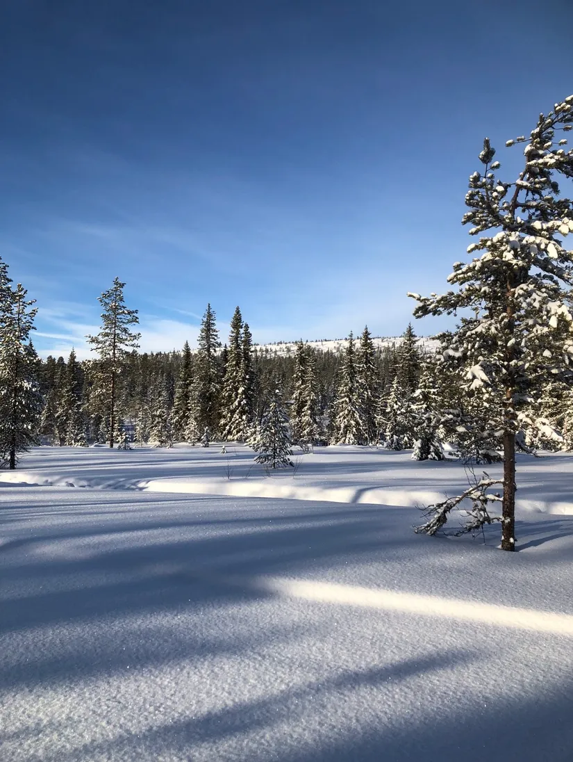 Fritidshus, Jossivägen 63 B, Tandådalen, Malung-Sälen