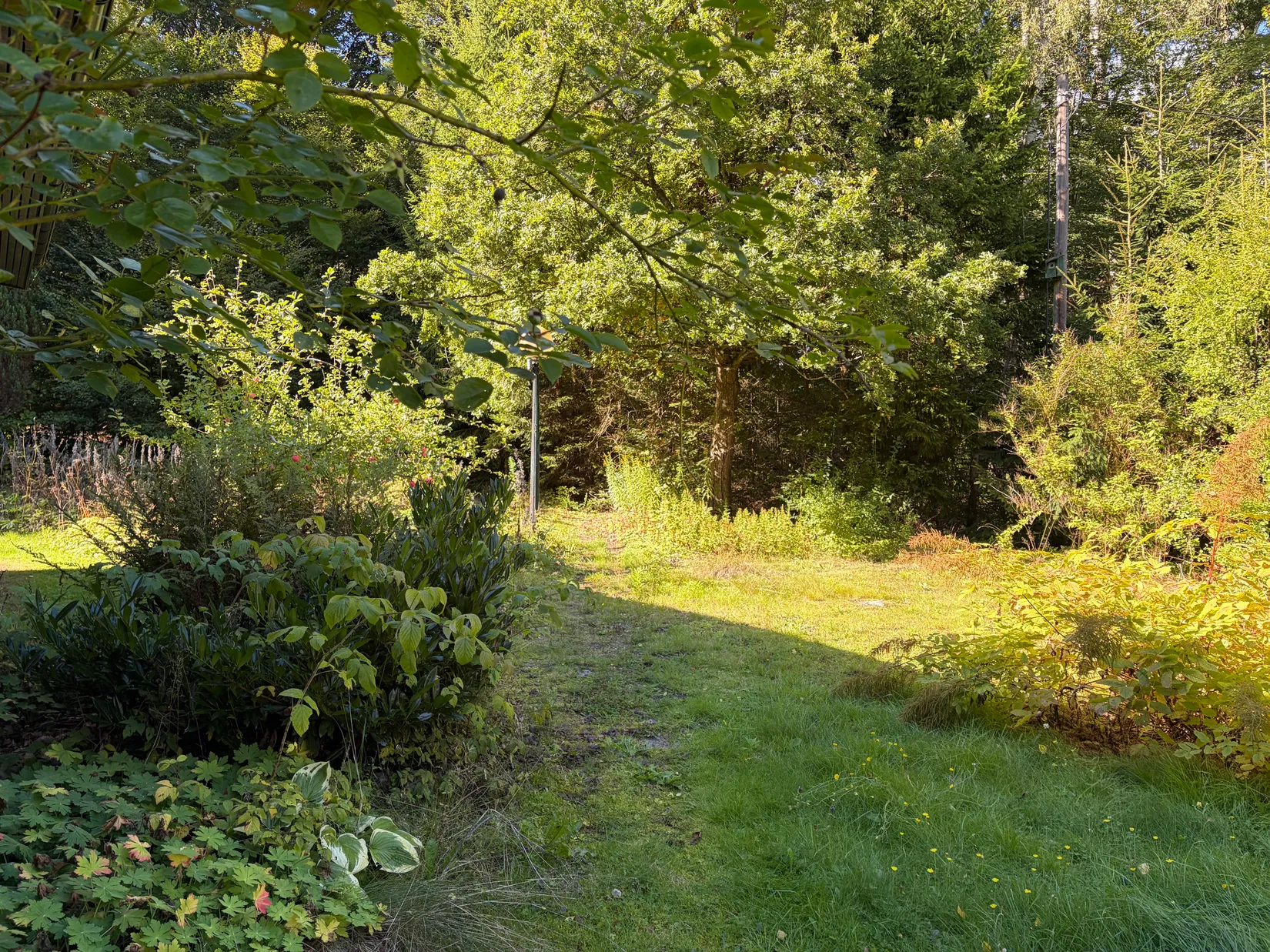 Fritidshus, Korsaröd 602, Korsaröd, Höör