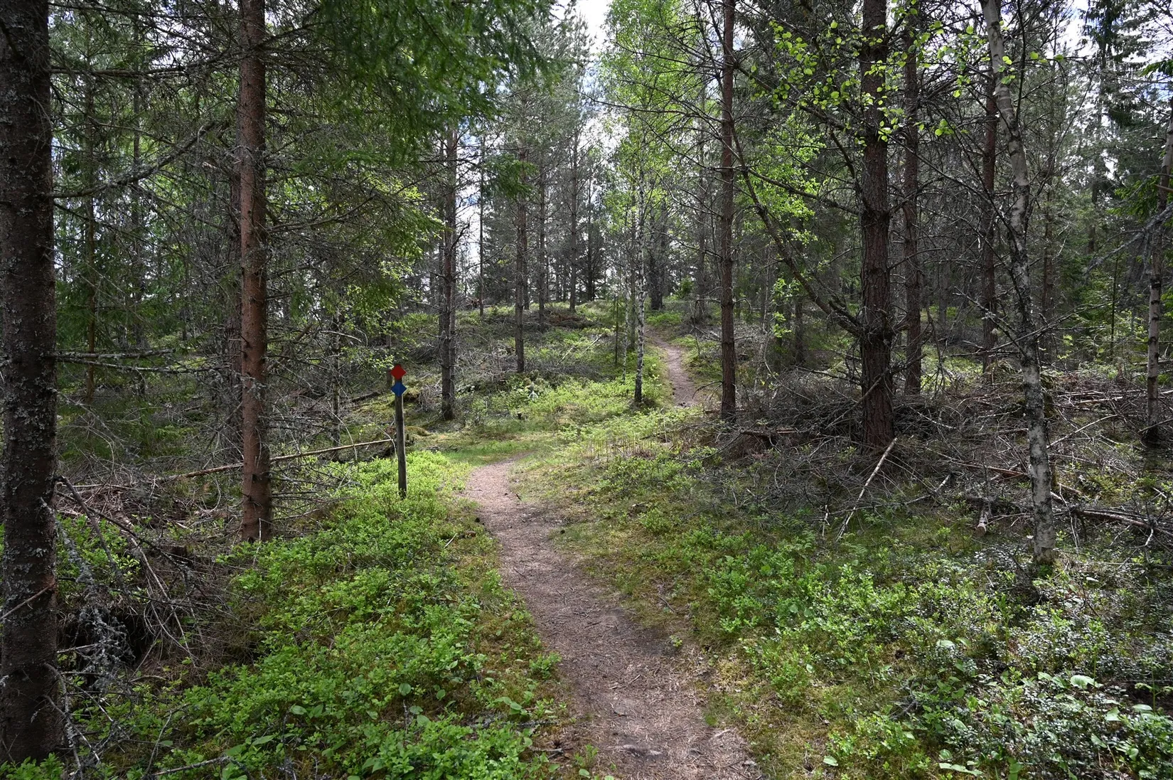Villa, Gamla landsvägen 8, Broholm, Mullsjö