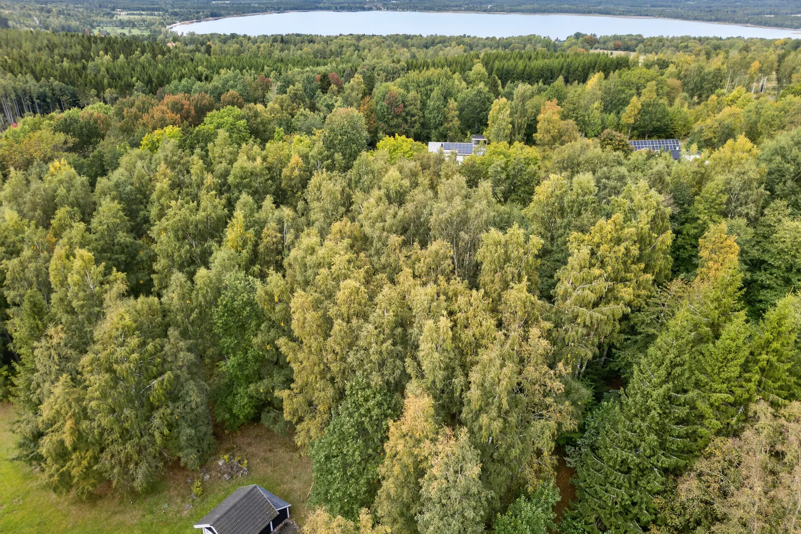 Tomt, Svarthättevägen 3, Hjo