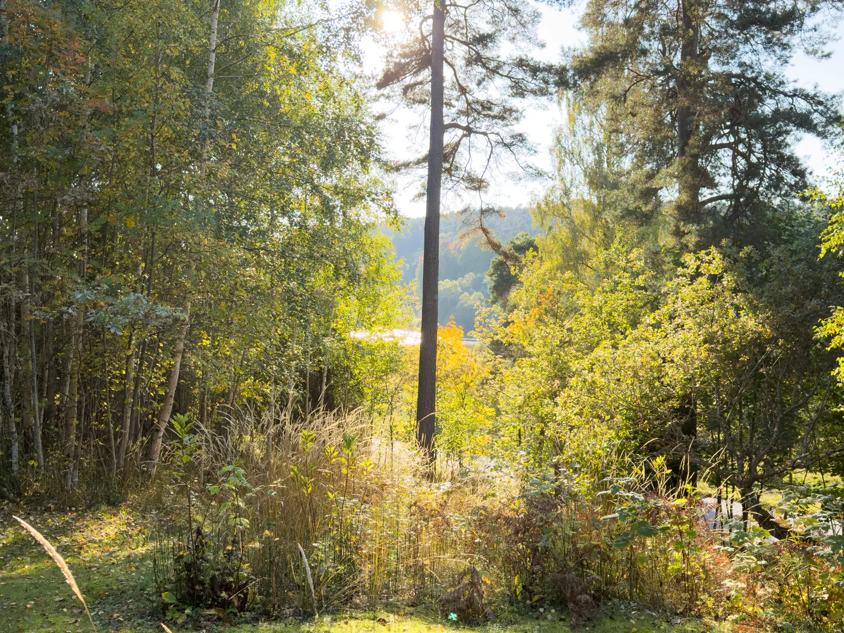Fritidshus, Nåntuna 138, Lugnet, Uppsala