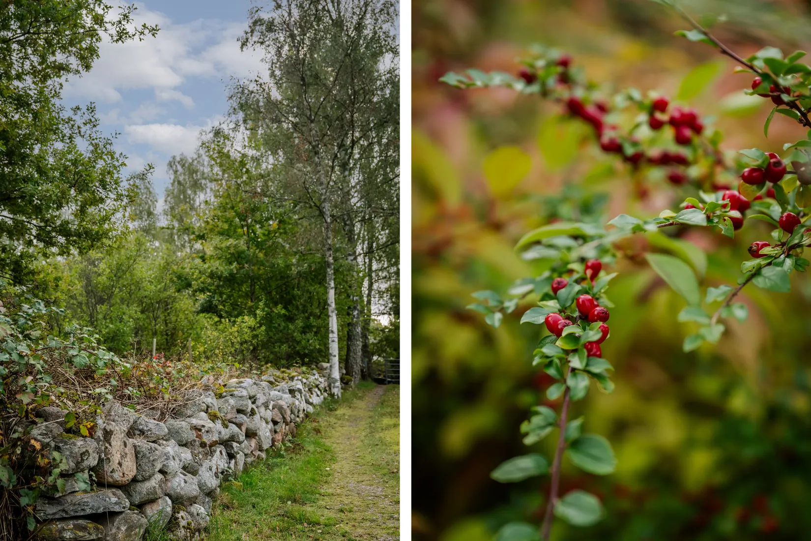 Fritidshus, Tydingevägen 4, Broby, Östra Göinge