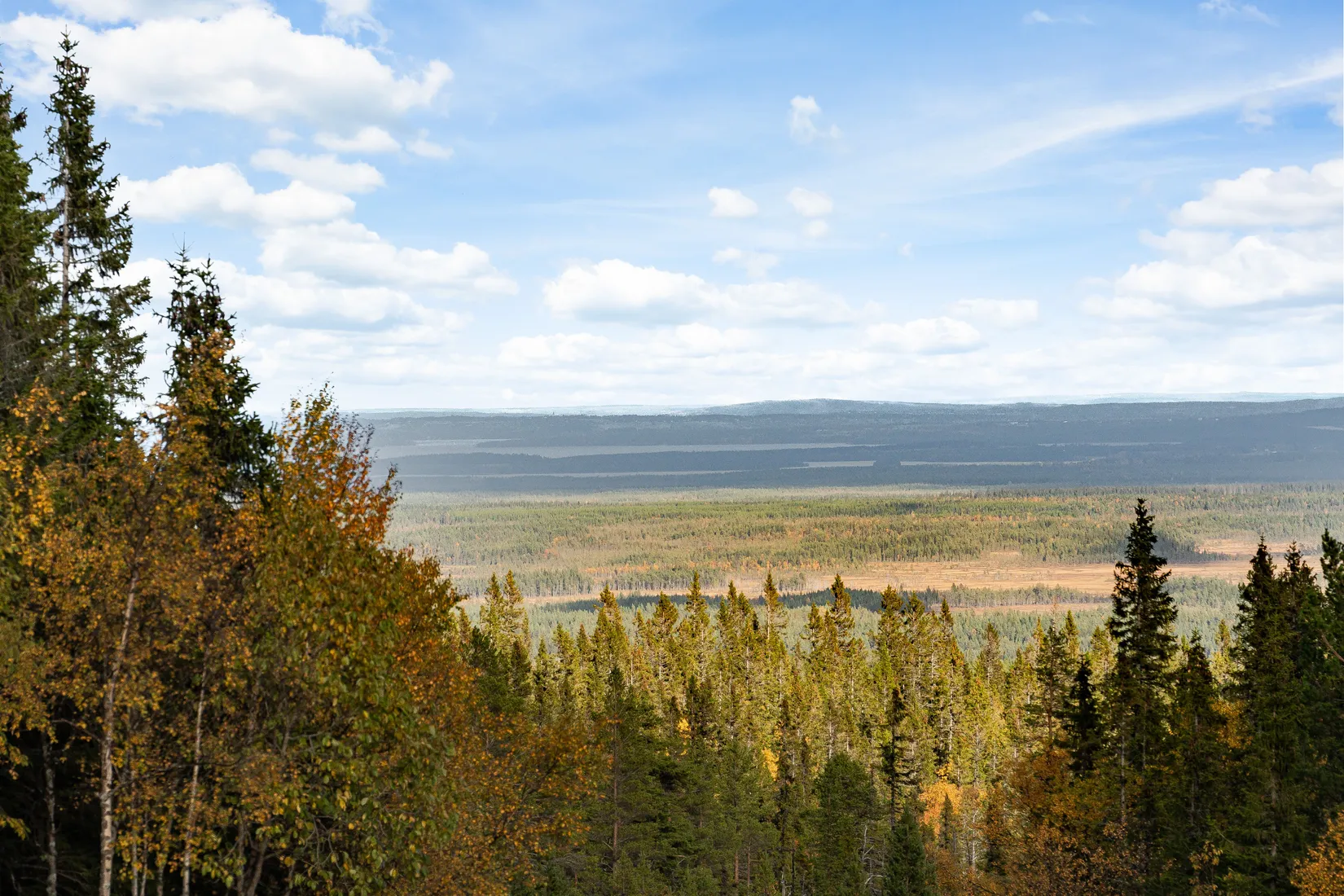 Fritidshus, Hjortronvägen 17, Gräftåvallen, Berg